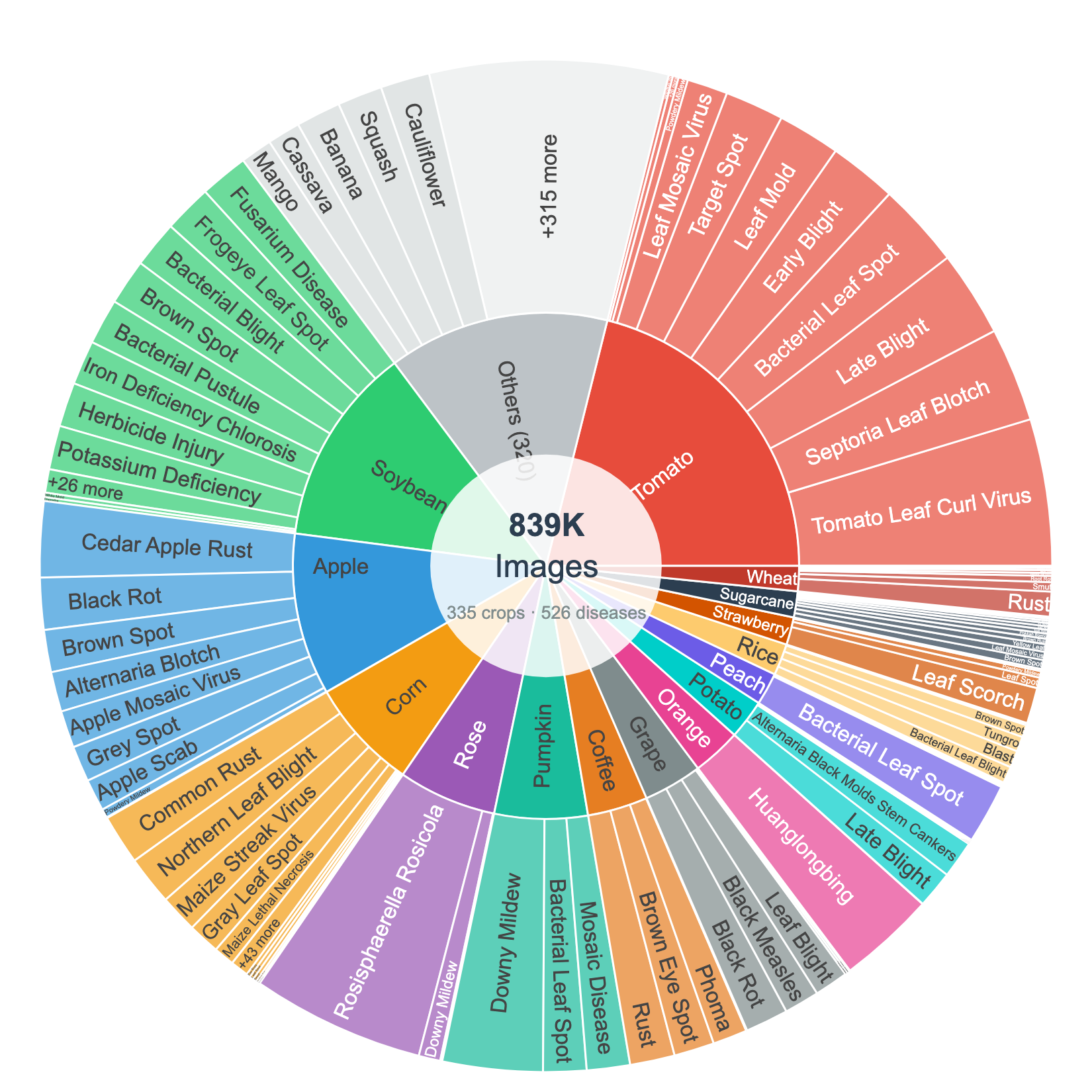 SAGE dataset distribution sunburst